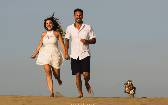 Fotógrafos de mascotas en Gran Canaria Canarias Tenerife Lanzarote