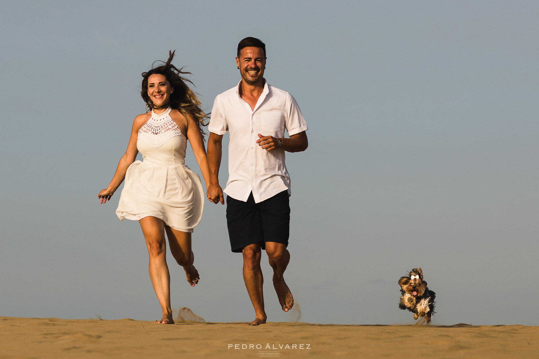 Fotógrafos de mascotas en Gran Canaria Canarias Tenerife Lanzarote