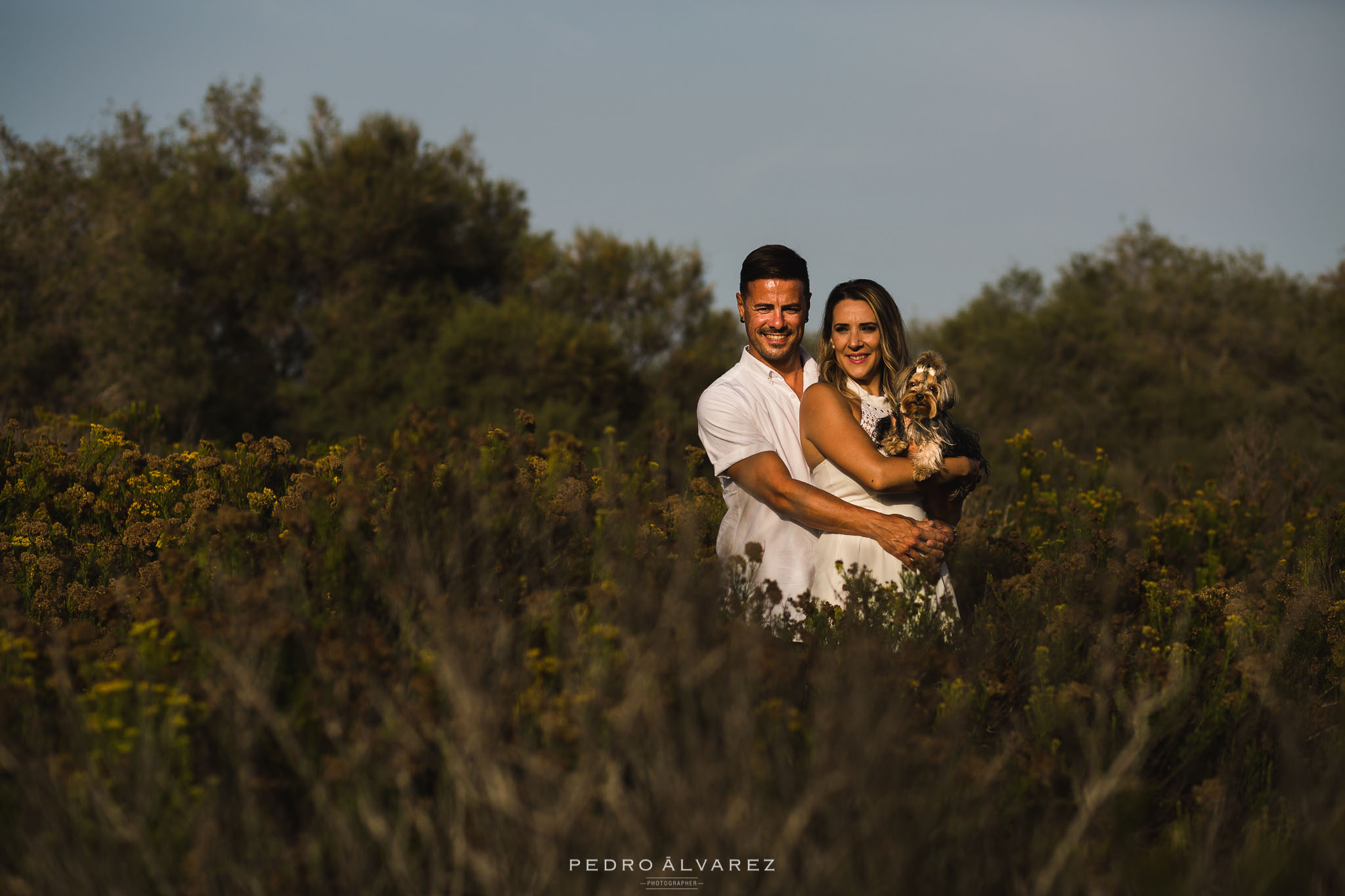 Sesión de fotos de mascotas y pre boda en Gran Canaria T & D