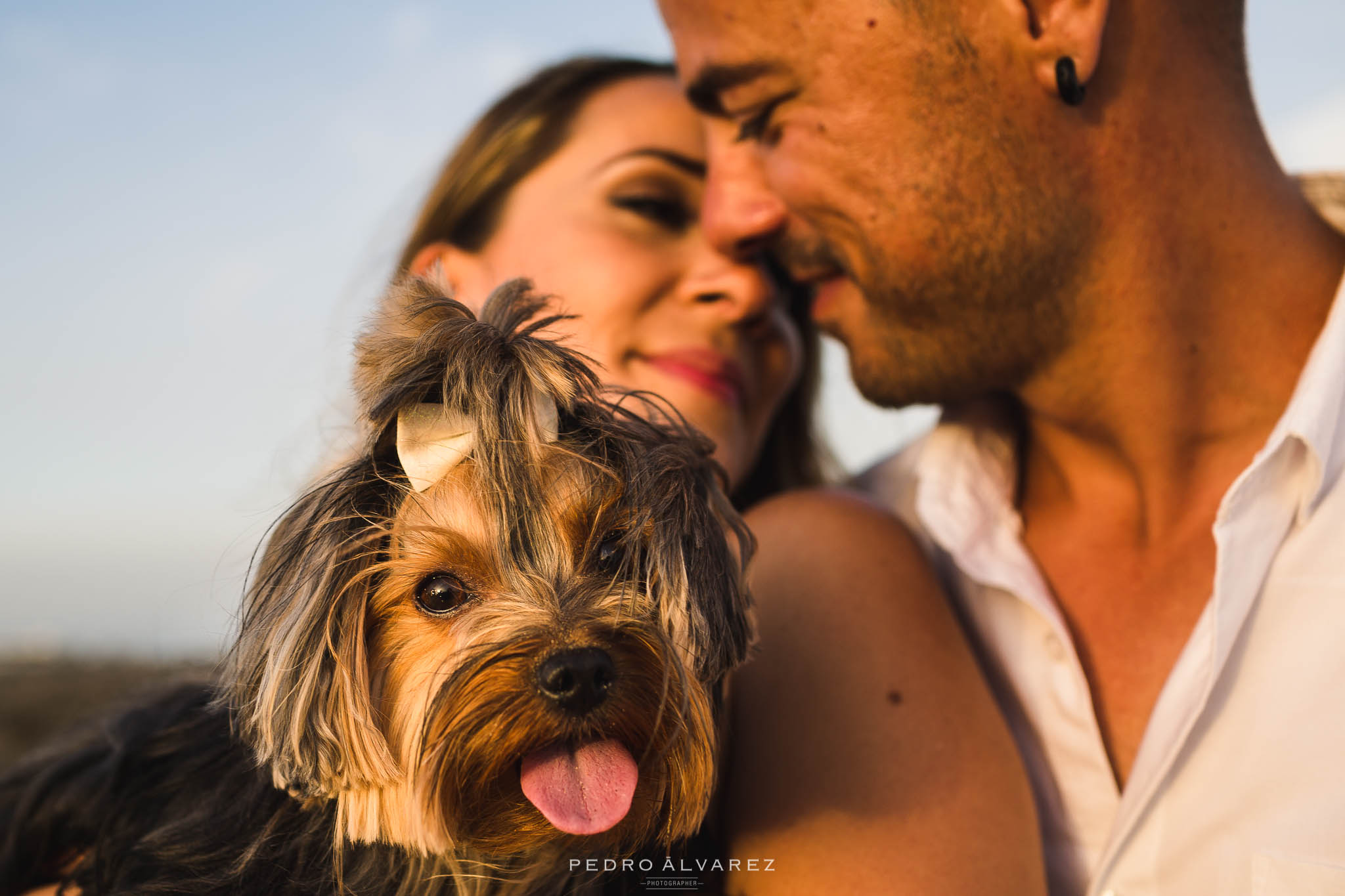 Sesión de fotos de mascotas y pre boda en Gran Canaria T & D
