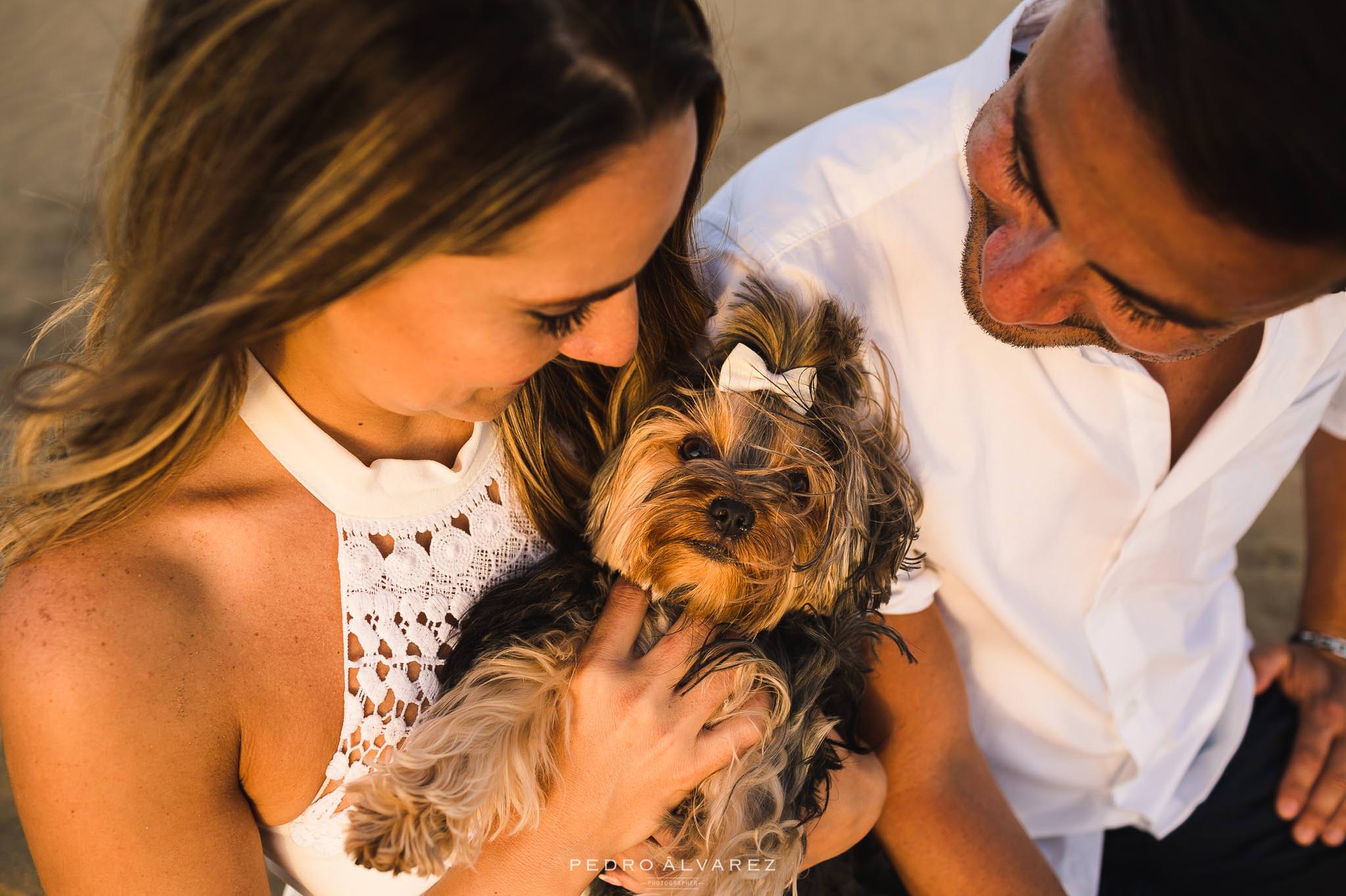 Sesión de fotos de mascotas y pre boda en Gran Canaria T & D