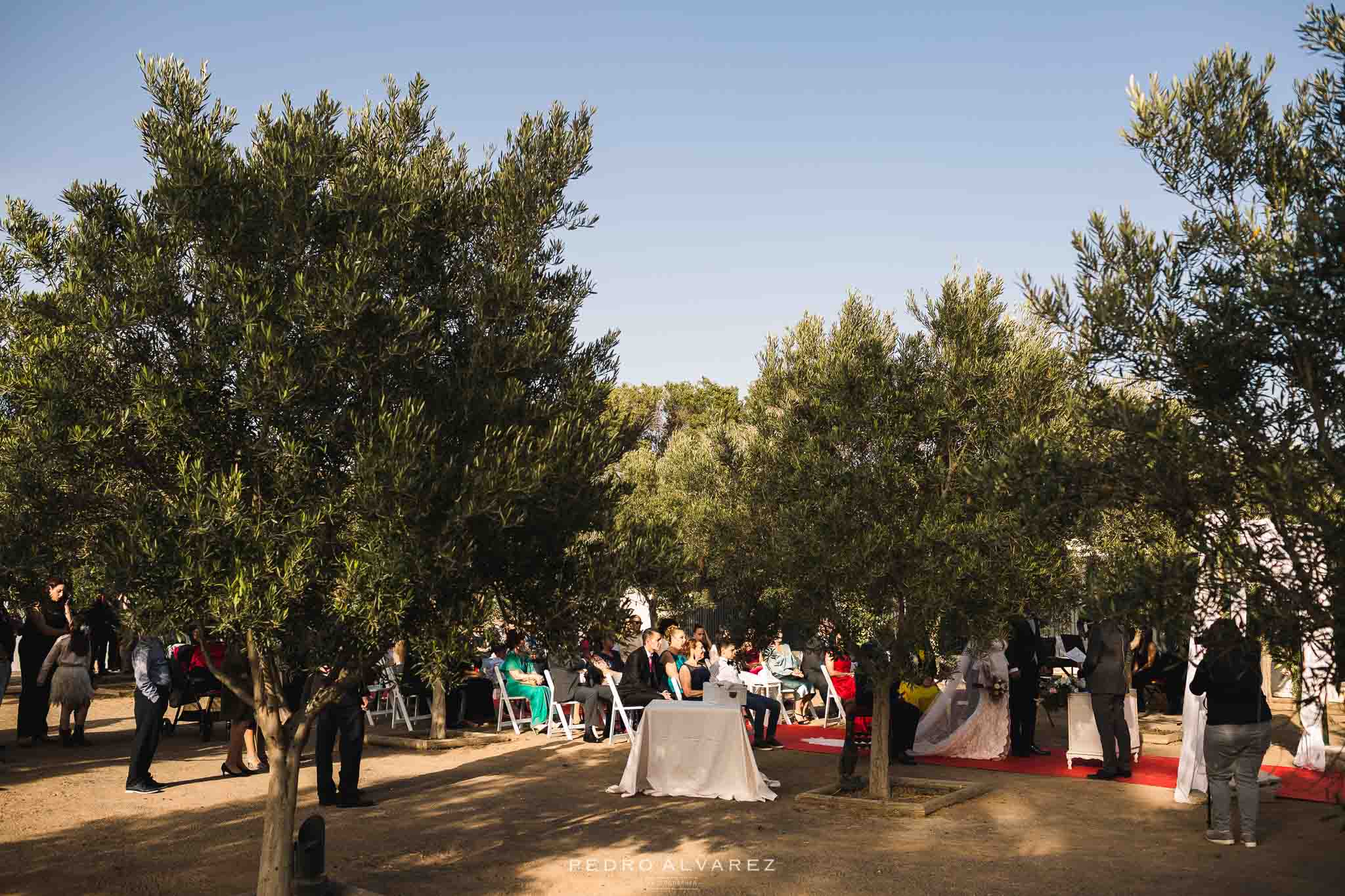 Finca Condal Vega Grande en Gran Canaria sus olivares en una boda
