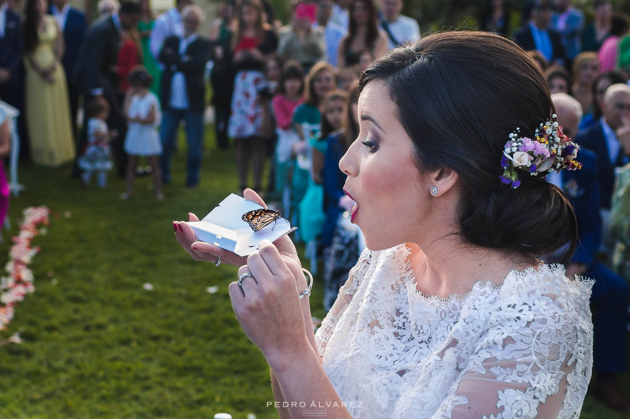 Fotos de bodas civiles Finca Lairaga 