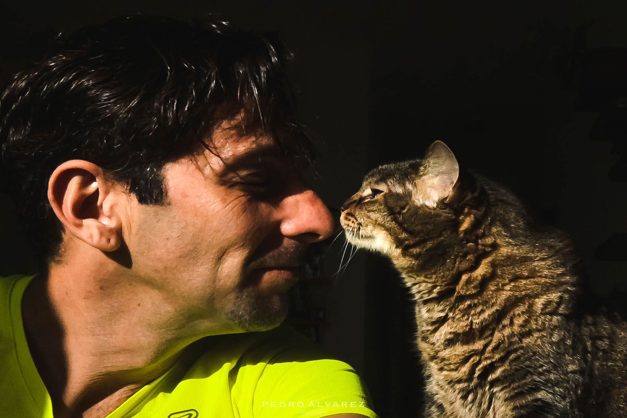 Fotógrafos de gatos en Gran Canaria Canarias Tenerife Lanzarote