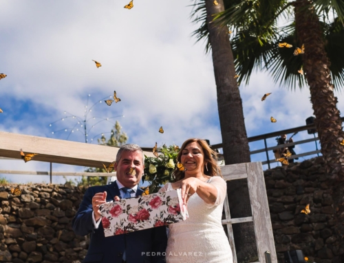 Fotografía de boda en la Finca Don Emilio en Gran Canaria Yoli y Julio