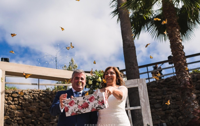 Fotografos de bodas en Finca Don Emilio Gran Canaria