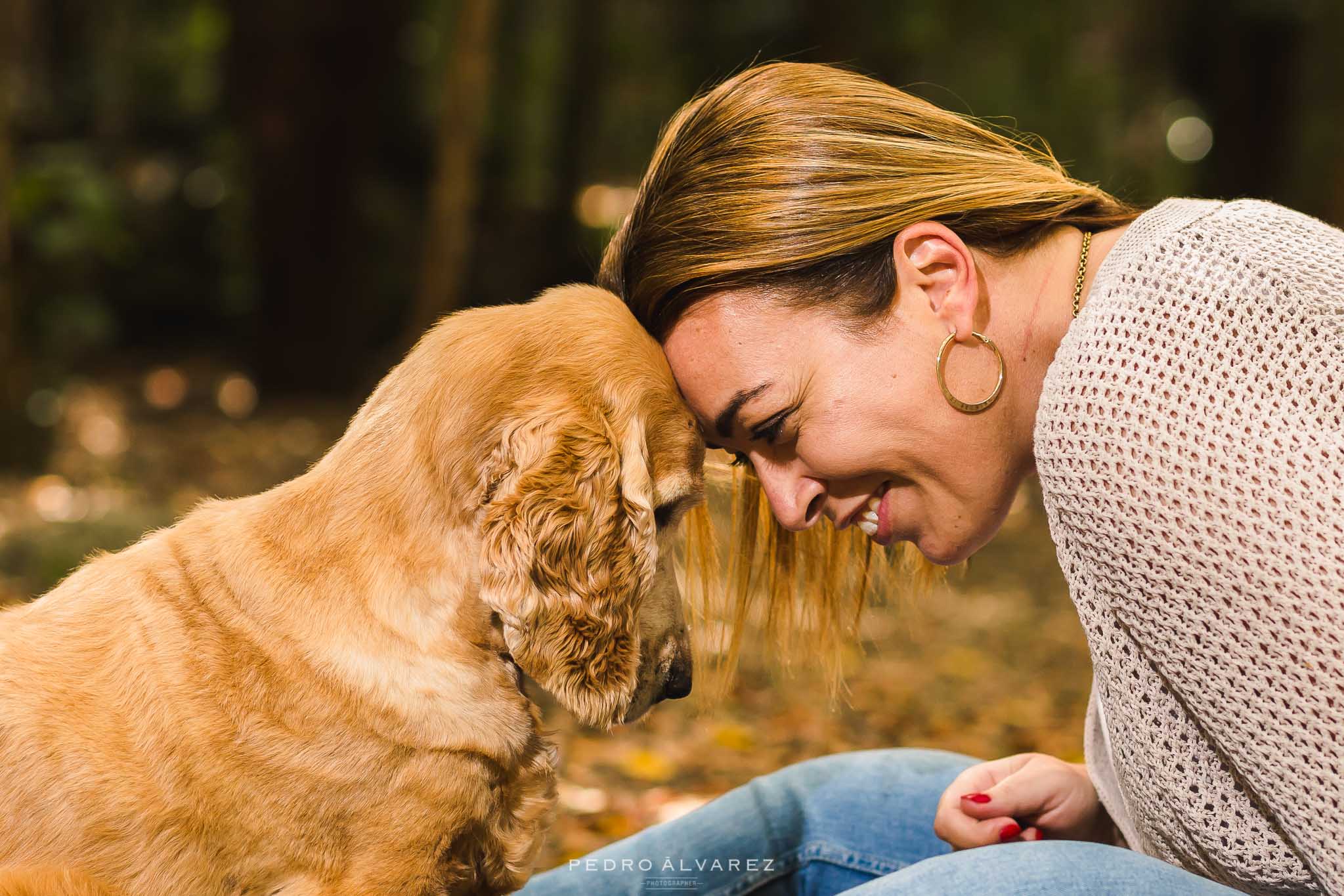 Fotografos de mascotas en Gran Canaria 