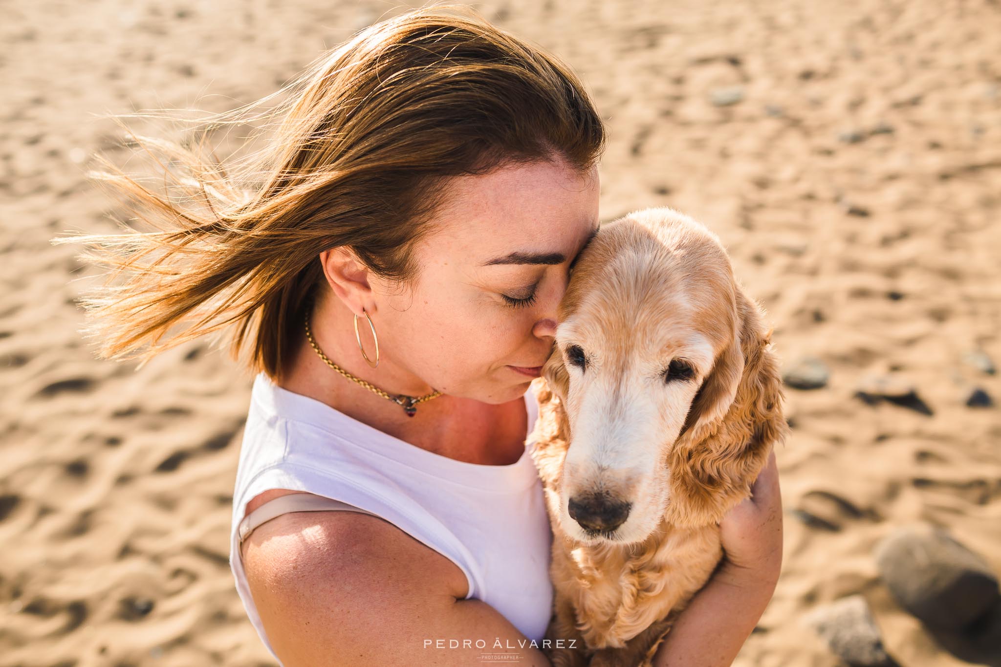 Fotógrafos de mascotas en Las Palmas de Gran Canaria 