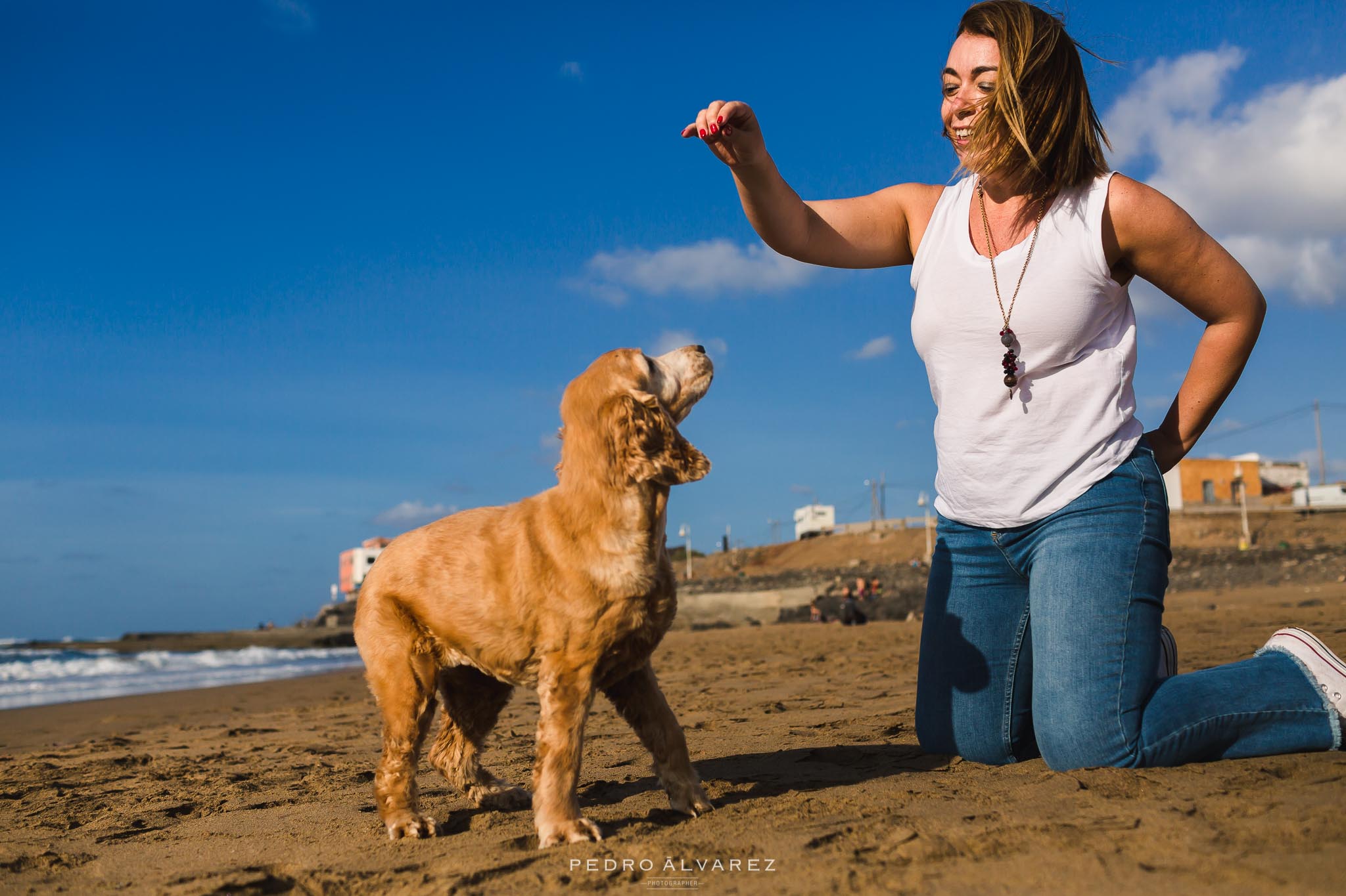 Fotógrafos de mascotas en Las Palmas de Gran Canaria 