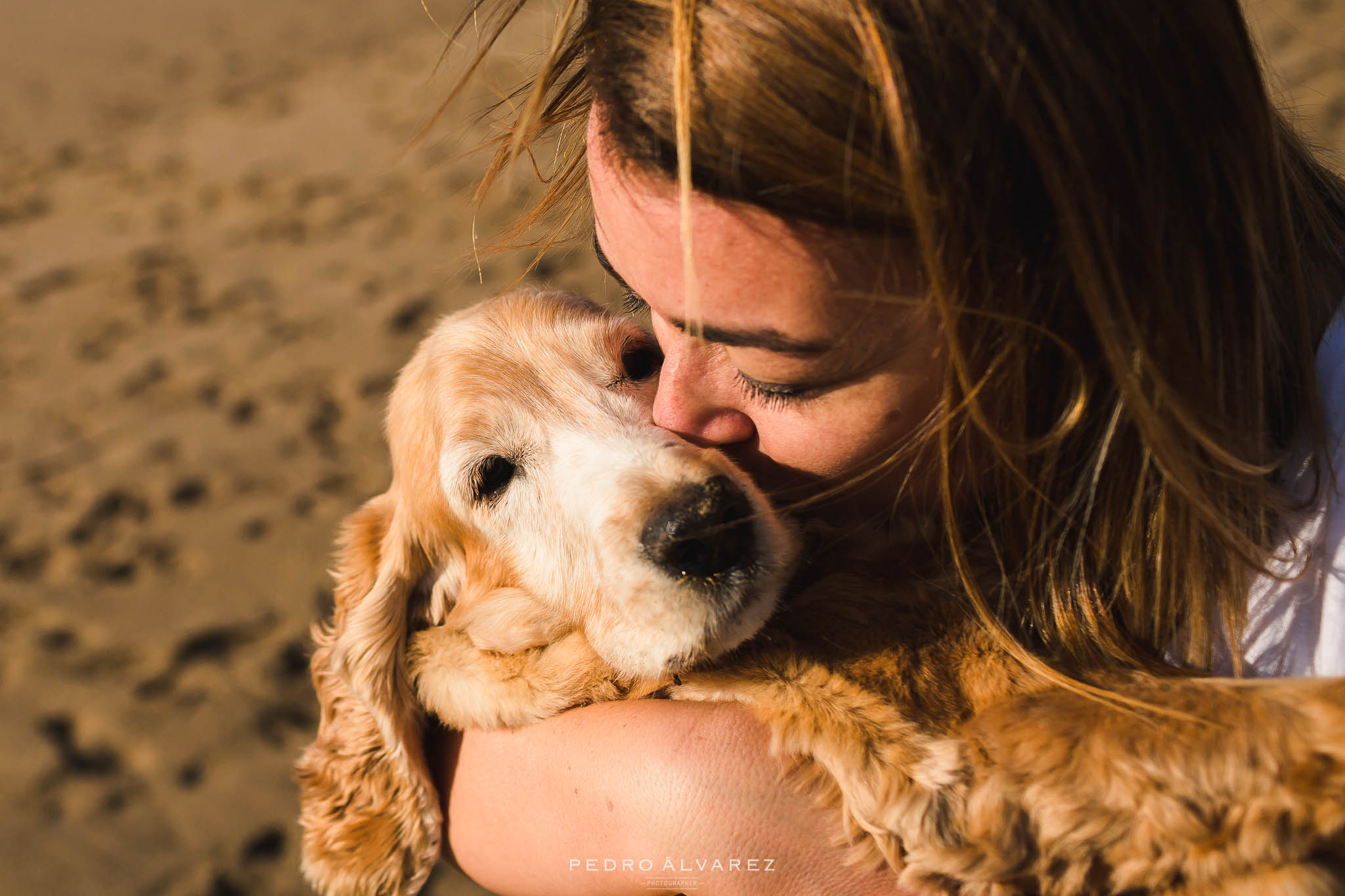 Fotógrafos de mascotas en Las Palmas de Gran Canaria 