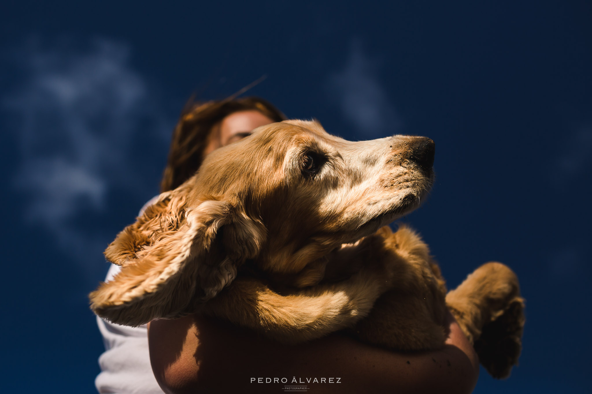 Fotógrafos de mascotas en Canarias