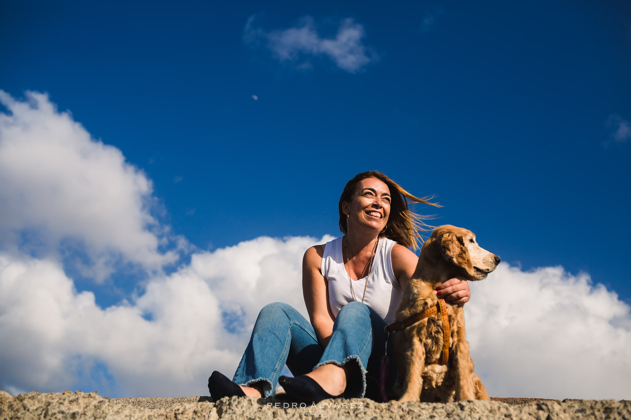 Fotógrafos de mascotas en Las Palmas de Gran Canaria 