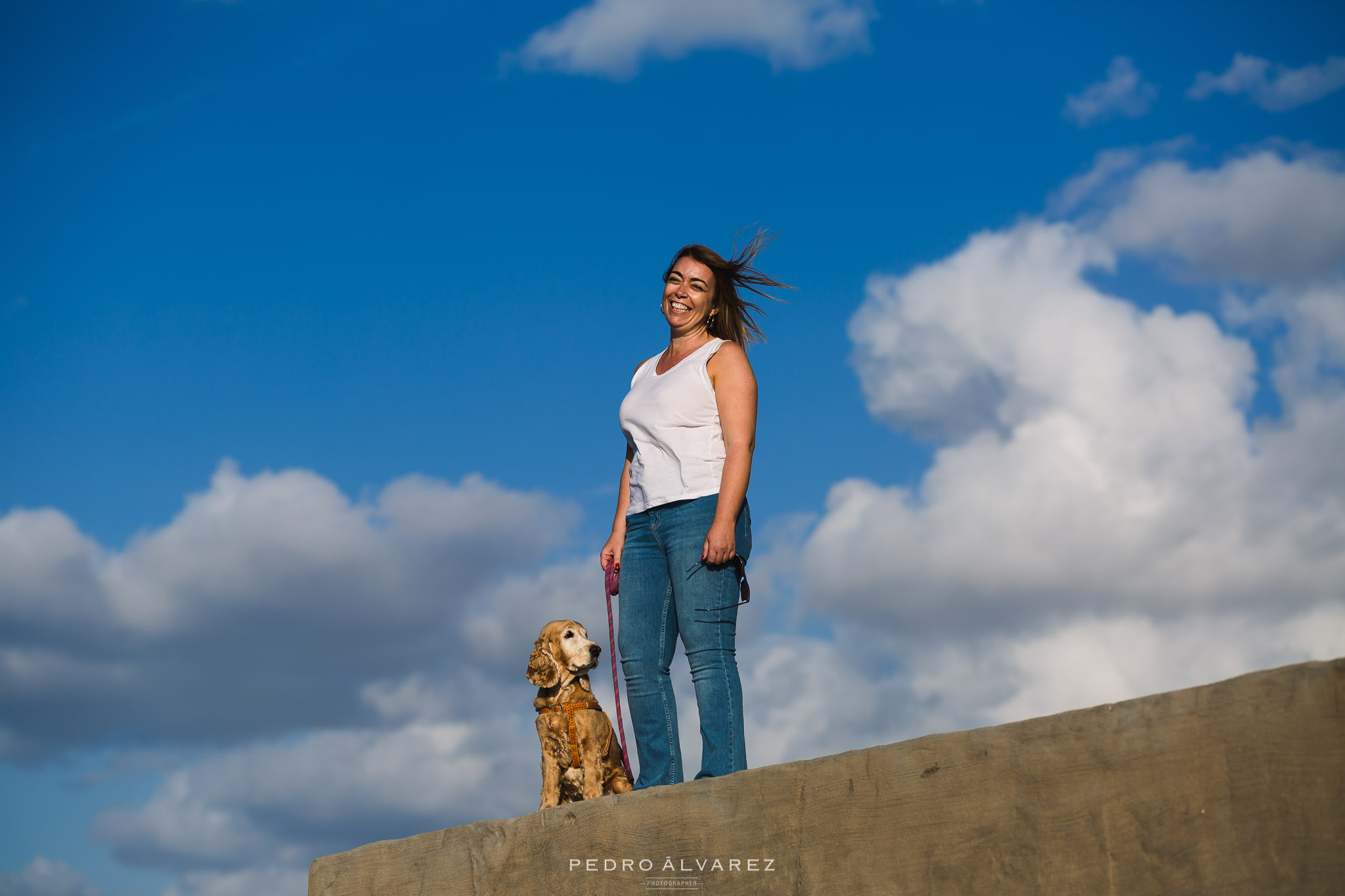 Fotógrafos de mascotas en Las Palmas de Gran Canaria 