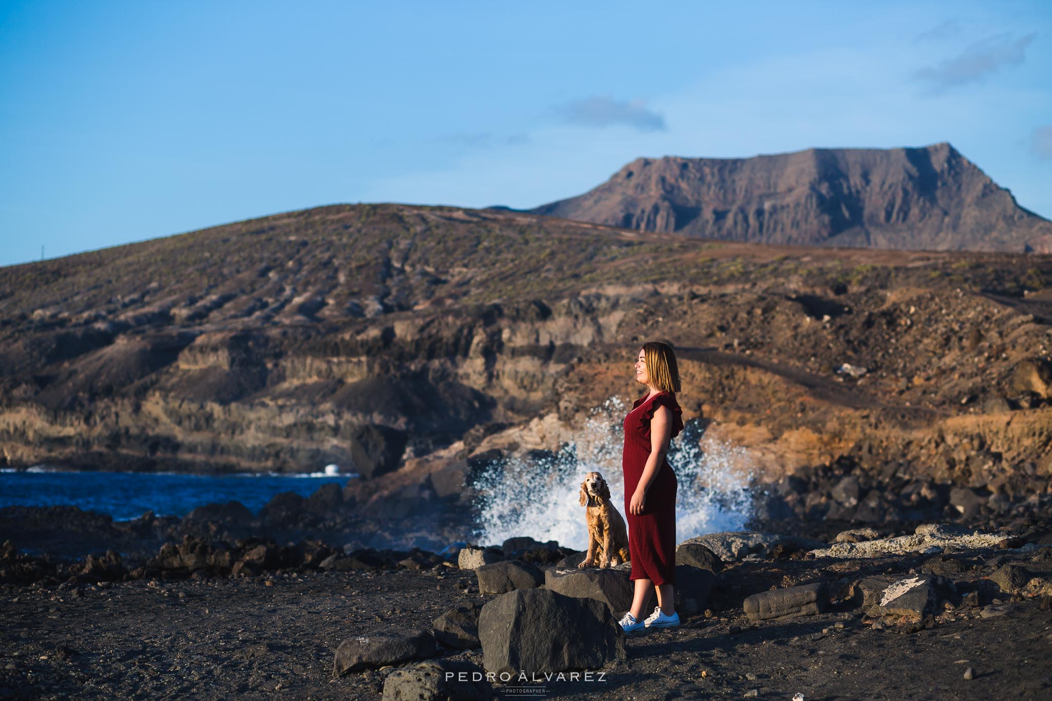 Fotógrafos de mascotas en Las Palmas de Gran Canaria 