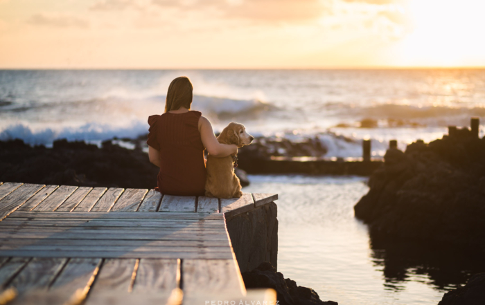 Fotografos de mascotas en Las Palmas de Gran Canaria Tenerife La