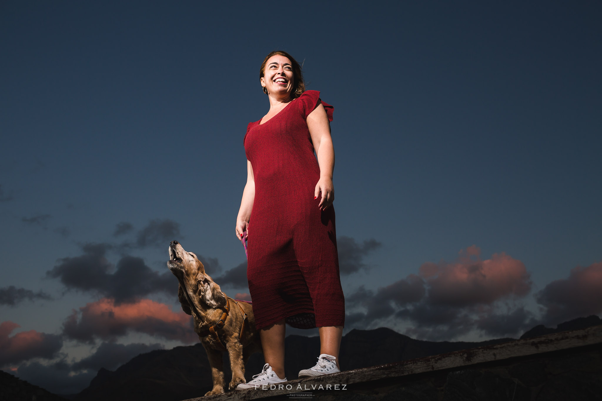 Fotógrafos de mascotas en Las Palmas de Gran Canaria 