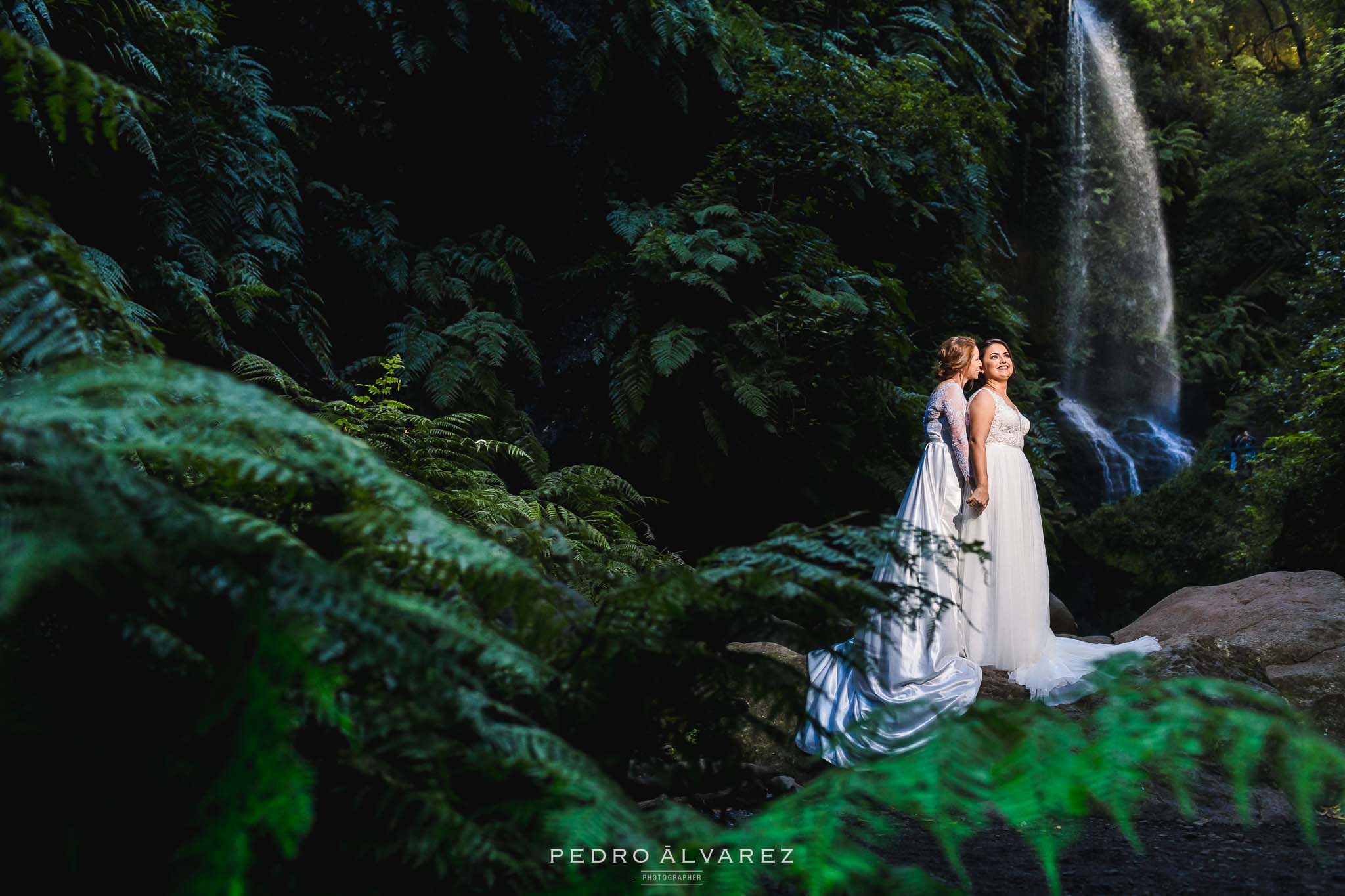 Fotografos de bodas en Canarias