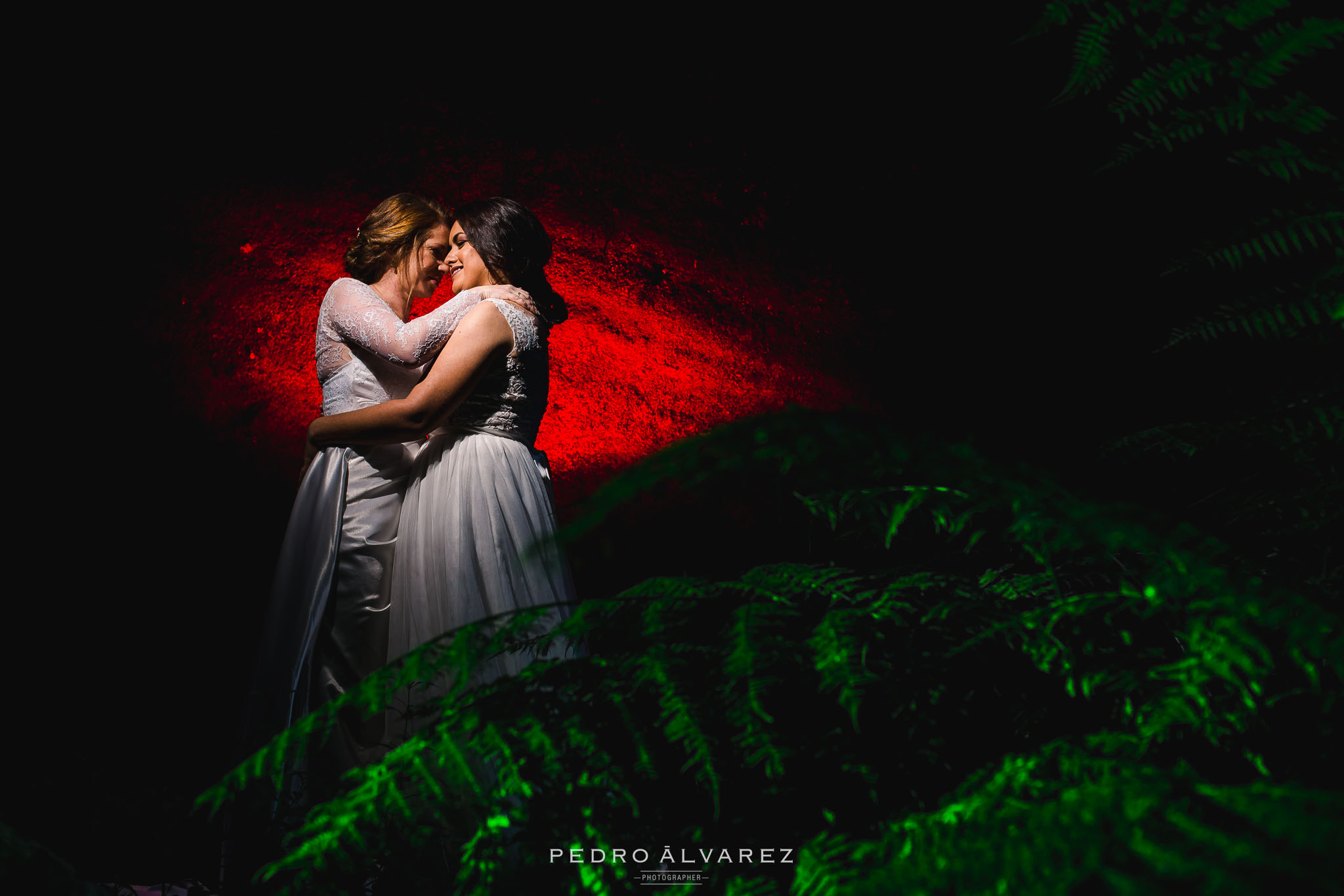 Fotografos de bodas en Canarias