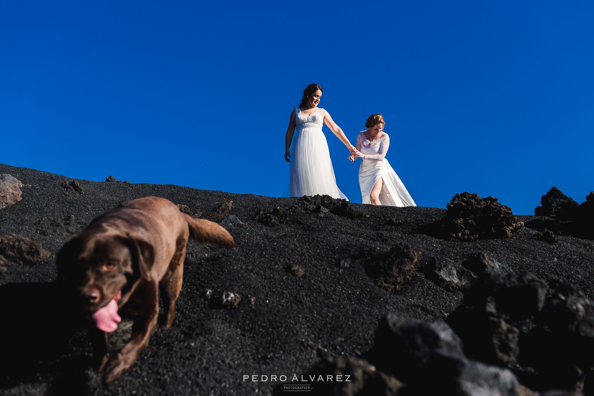 Fotografos de bodas en Canarias