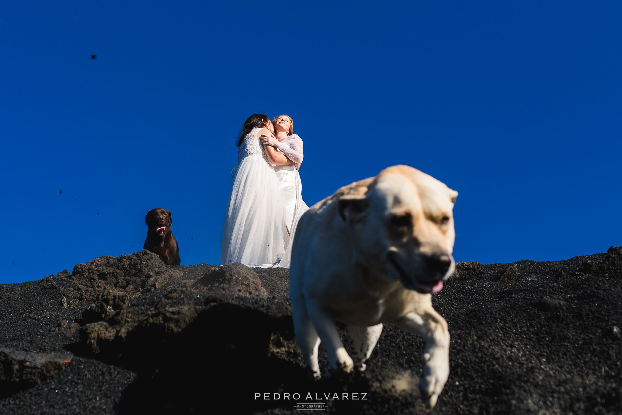 Fotografos de bodas en Canarias