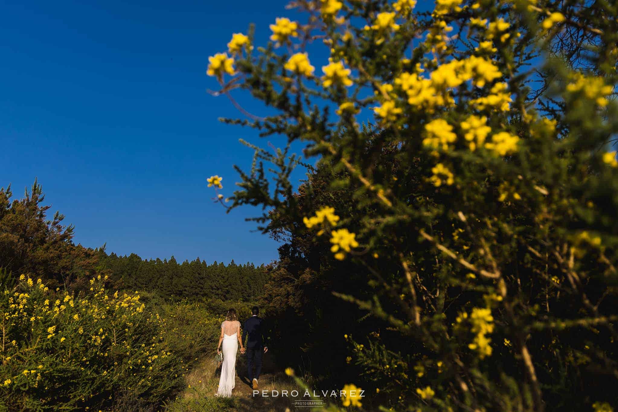 Fotografos de bodas en Tenerife