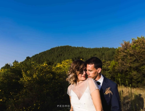 Fotógrafo de bodas en Tenerife – boda de Zene y Fer