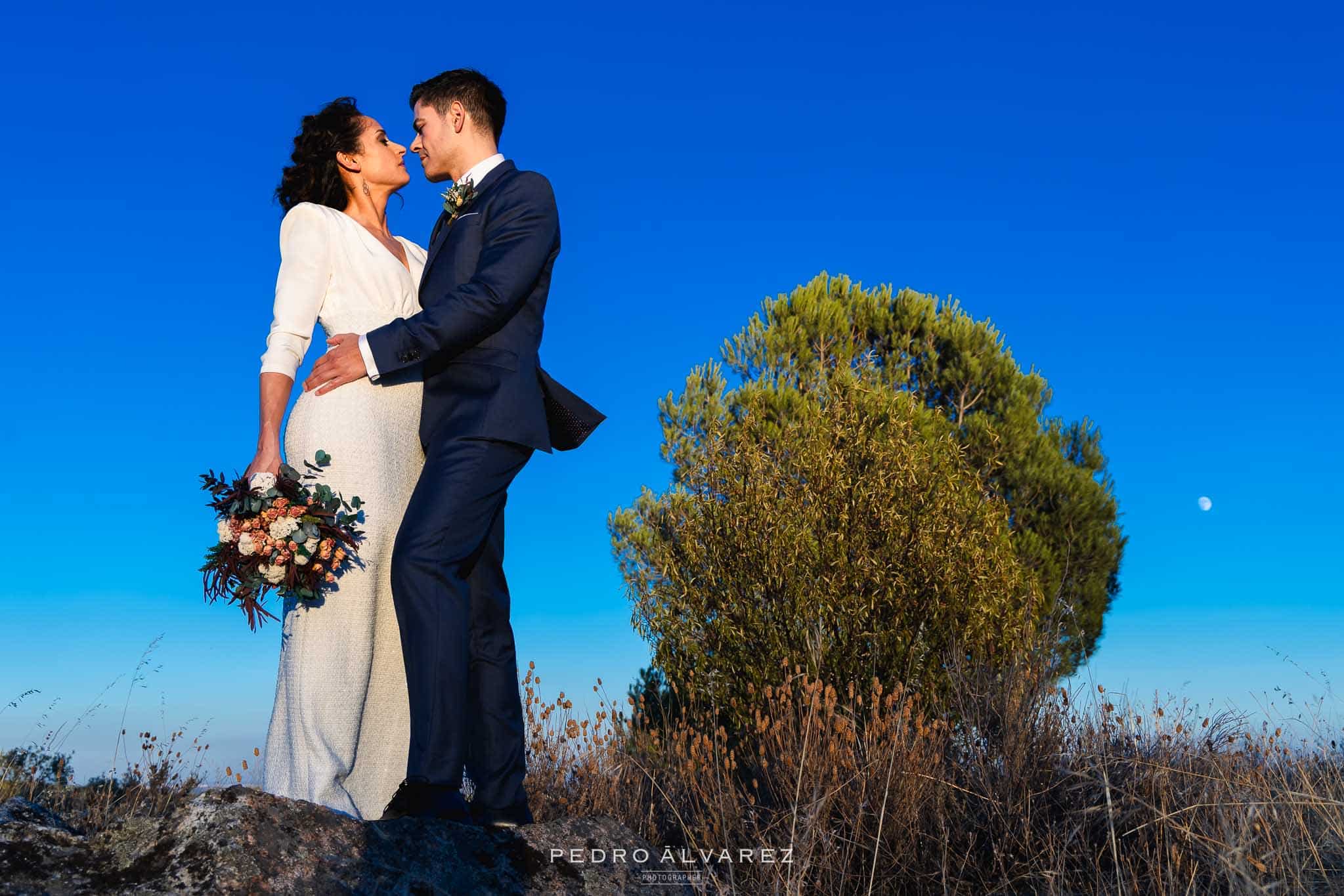 Fotógrafo de Boda Finca Najaraya Madrid haciendo la sesión de fotos de los novios abrazados con árbol en un lado