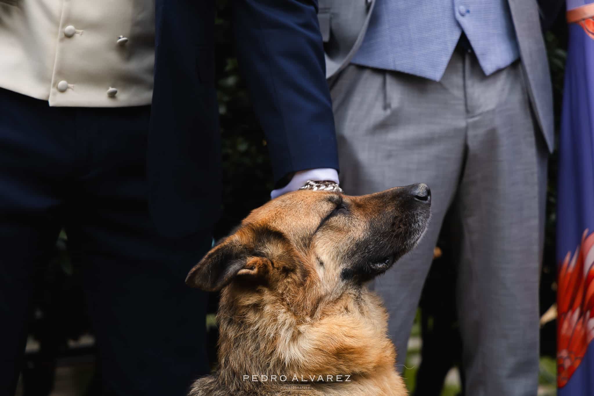 Fotografos de bodas en Madrid- Finca Soto de Gracia