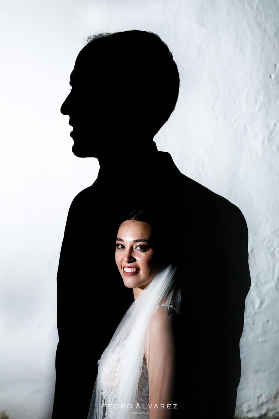 Fotógrafo de boda en Ciudad Real_Alcázar de San Juan Fotógrafo de boda en Ciudad Real